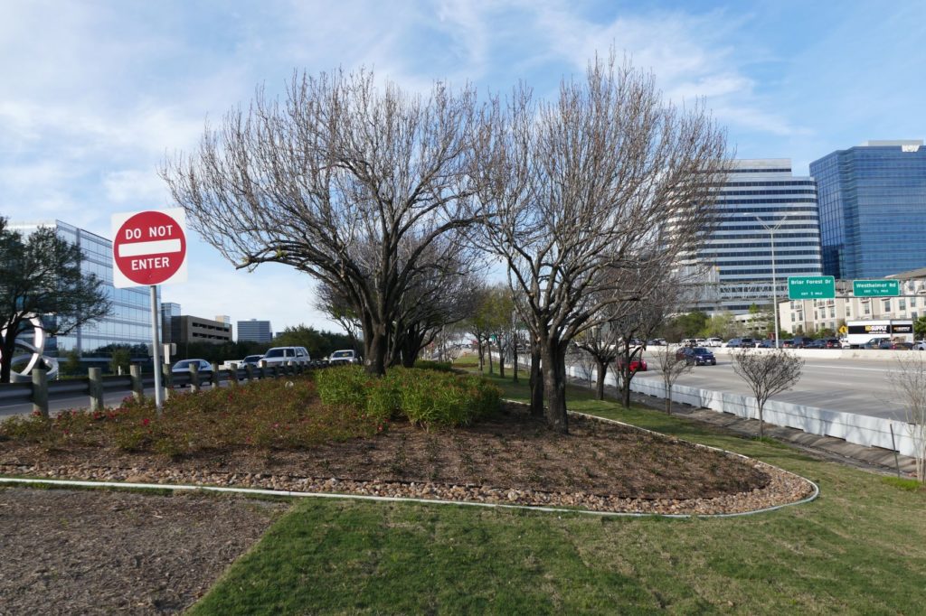 Tollway landsaping after new erosion control measures were installed